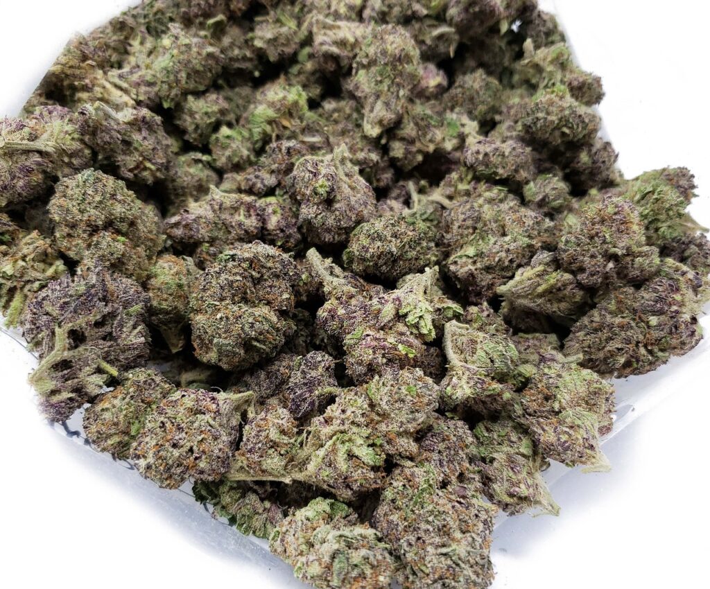 discover weed in Dubai Marina