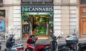 weed in Barcelona 