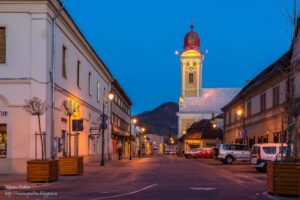 discover weed in Baia Mare