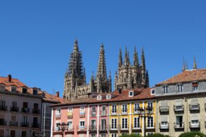 discover weed in Burgos
