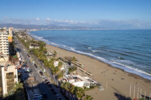 discover weed in Torremolinos