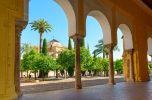 discover weed in Córdoba