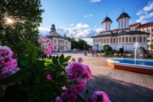 discover weed in Târgu Jiu