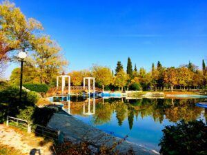 discover weed in Larissa