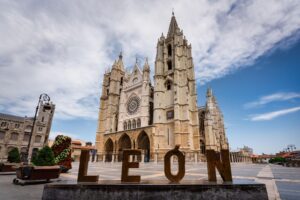 discover weed in León
