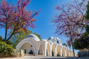 discover weed in Terrassa