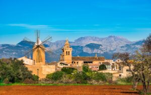 discover weed in Palma de Mallorca
