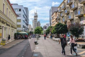 discover weed in Satu Mare