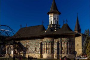 discover weed in Suceava