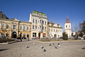 discover weed in Târgu Mureș