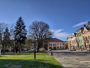 discover weed in Bistrița