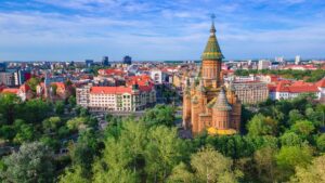 discover weed in Timișoara