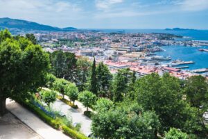 discover weed in Vigo